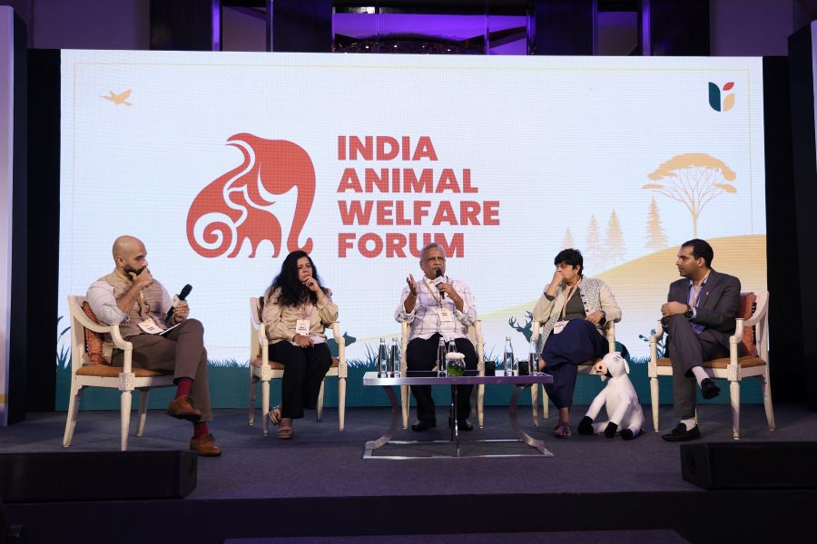 India Animal Welfare Forum Launches First Collaborative Funding Circle to Address Sector Gaps